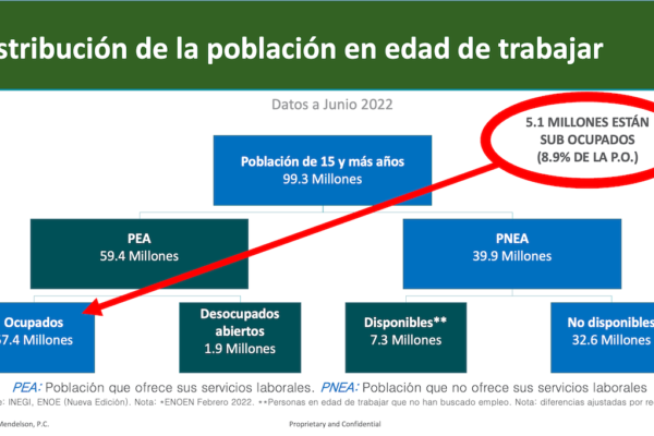 La asimétrica distribución del mercado laboral