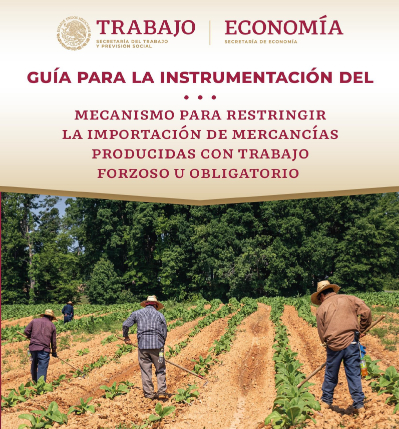 Publica STPS “Guía para la instrumentación del mecanismo para restringir la importación de mercancías producidas con trabajo forzoso u obligatorio”