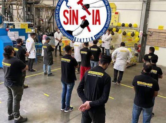 SINTTIA gana batalla en Frankishce