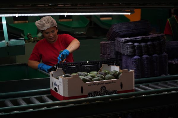 Semáforo de empleo formal en rojo en la primera mitad de 2024