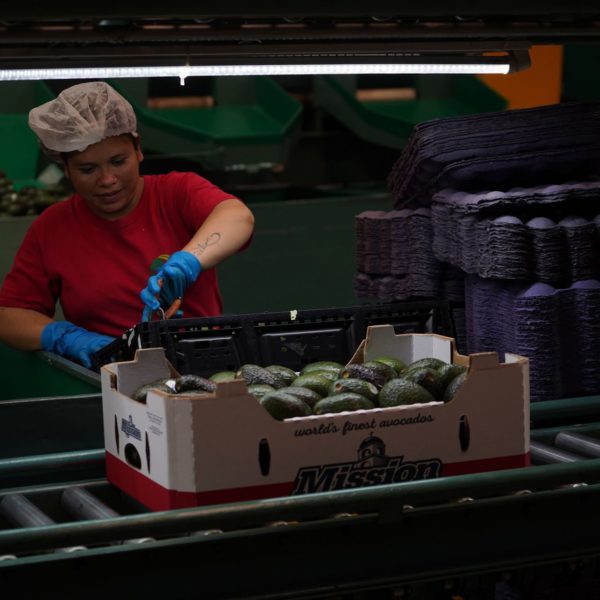 Semáforo de empleo formal en rojo en la primera mitad de 2024