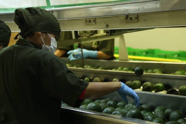 México y Estados Unidos cierran exitosamente caso de RV Fresh Foods al amparo del Mecanismo Laboral de Respuesta Rápida del T-MEC