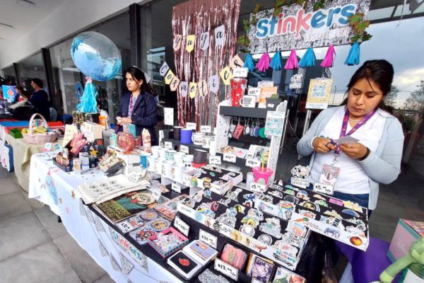 Economía y la Cooperación Técnica Alemana presentan informe sobre “Nenis”