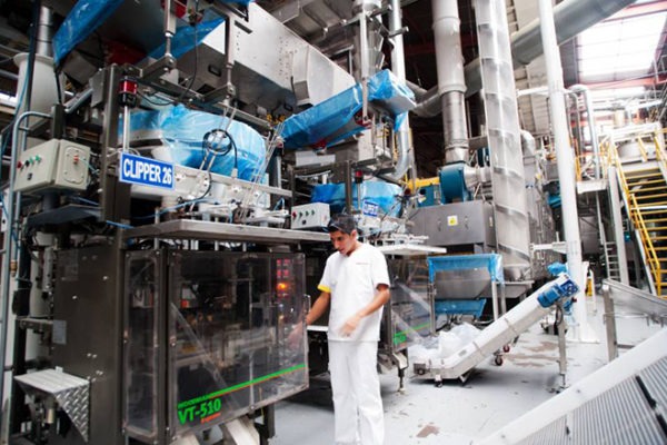 Publica INEGI Indicadores del Sector Manufacturero a Junio 2024