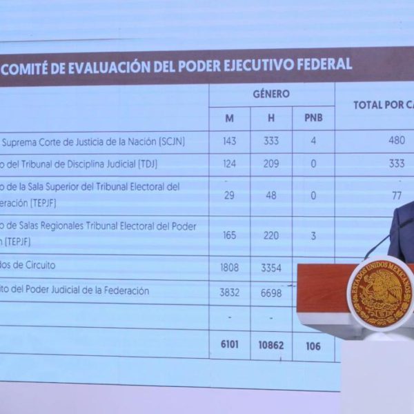 Calculan que casi 50 mil se inscribieron al proceso judicial