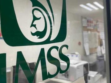 Puestos de trabajo afiliados al Instituto Mexicano del Seguro Social