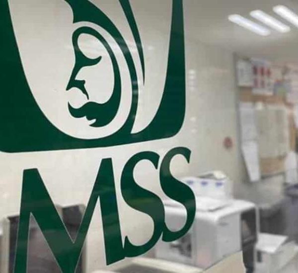 Puestos de trabajo afiliados al Instituto Mexicano del Seguro Social