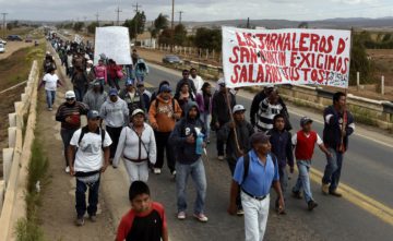 Jornaleros y empacadora en San Quintín logran acuerdo tras 72 horas de protestas