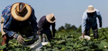 Denuncian abusos en Canadá contra empleados temporales