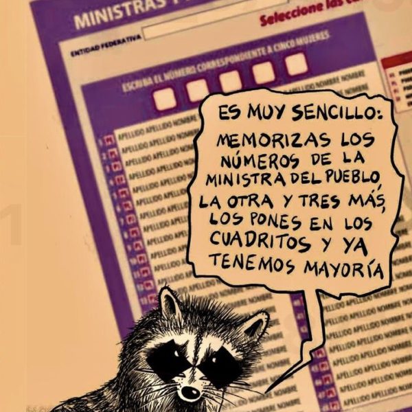 Muestra de boleta para selección de ministros de la corte