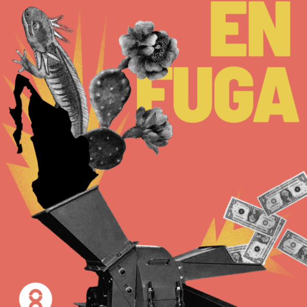 ¿A dónde se van las ganancias que se generan en México?