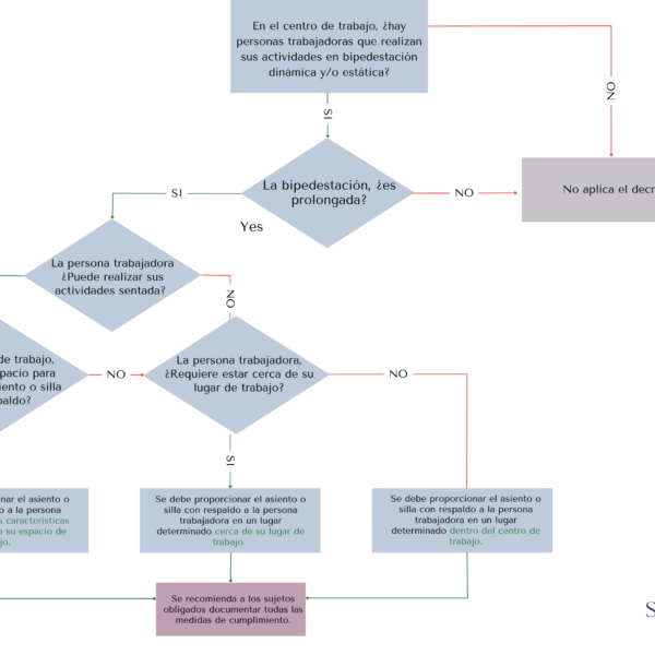 Conoce el diagrama para saber si te aplica o no la Ley Silla