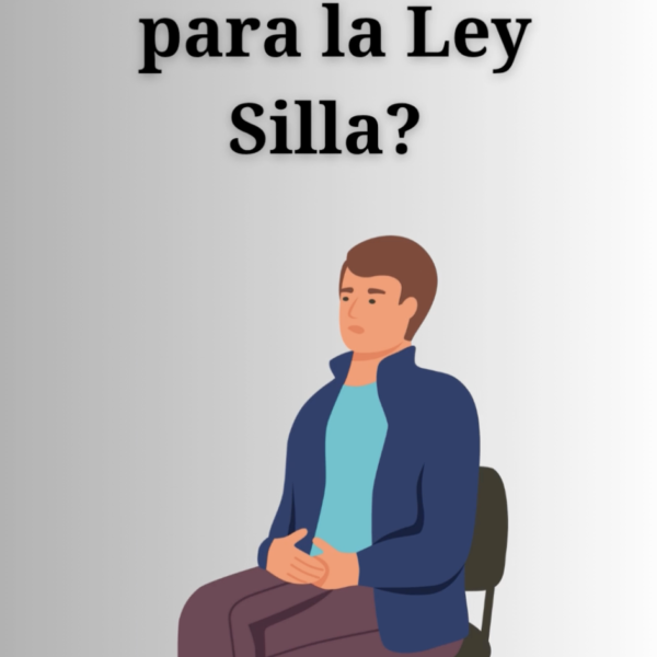 Flash Informativo: Ley Silla