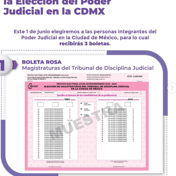 “Elección Judicial 2025”