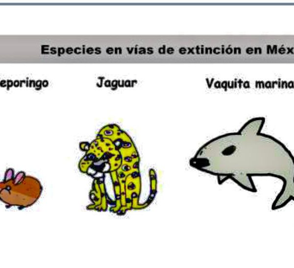 Peligro de extinción
