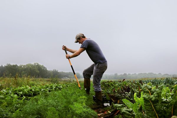 Senado de la República recibe iniciativa del Ejecutivo para fortalecer al campo mexicano